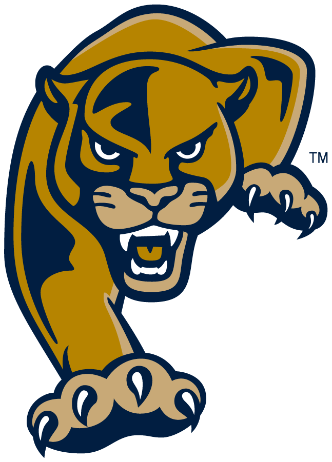 FIU Panthers 2008-Pres Secondary Logo diy iron on heat transfer